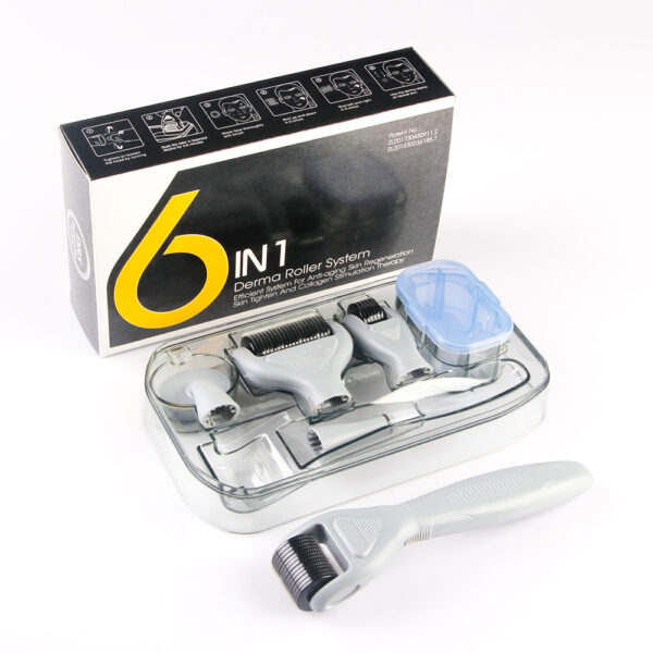 Derma Roller 6 in 1 Titan (0.5-2mm)<br>04-1032