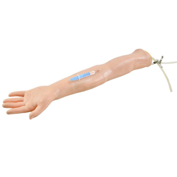 HeineScientific® Injection Training Model<br>06-0294